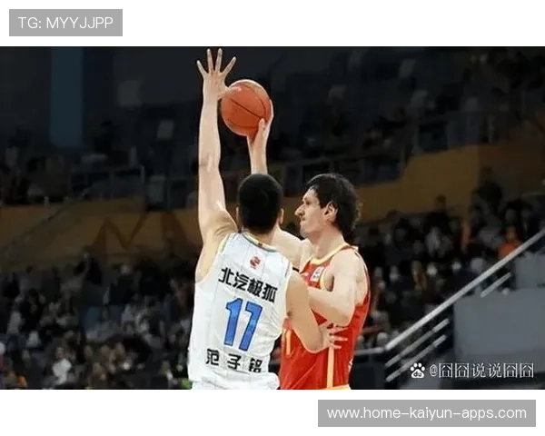 奋斗让中国篮球更加闪亮,奋斗篮球作文
